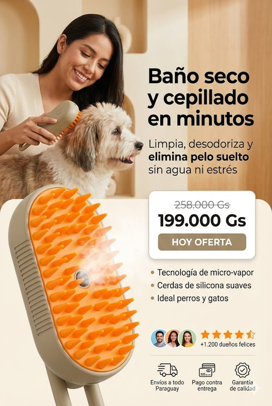 Cepillo A Vapor 3 En 1 FB
